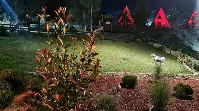 a dog standing in a yard with a house at Kraljičini konaci in Doboj