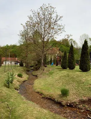 a stream in a field with a tree and a house at Vikendica Niki - Village house with pool in Ćetojevići
