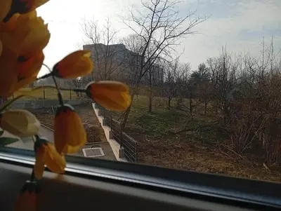 a view from a window with yellow flowers in the foreground at Apartman Nera in Gradačac