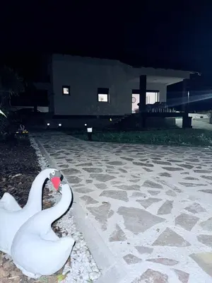 two white swans sitting in a courtyard at night at UNA Escape in Glodina