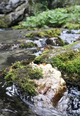 a rock with moss on it in a stream at Log Cabin Plavšić - Vikendica Plavšić in Šipovo