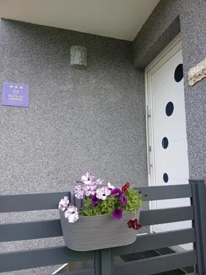 a flower pot on a bench next to a door at Ćato s cottage in Bravnice