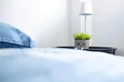 a bed with a table with a potted plant on it at Apartman D&A in Brekovica