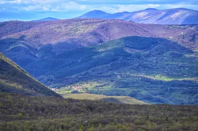 a mountain view of a valley with trees and mountains at Bungalovi Potočarska panorama in Mrkonjić Grad