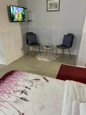two chairs and a bed in a room with a tv at Domaćinstvo Una-Ostrovica in Kulen Vakuf