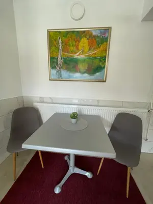 a white table with two chairs and a painting on the wall at Domaćinstvo Una-Ostrovica in Kulen Vakuf