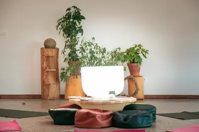 a room with plants and a table with bags at HOTEL Pyramid Lodge in Visoko