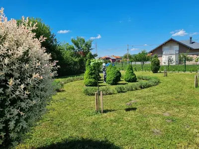 a garden with trees and bushes in a yard at Oasis in Bihać