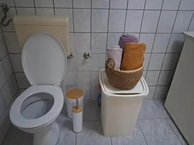 a bathroom with a toilet and a basket of towels at Boema in Ivišovo Greblje