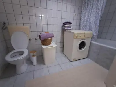 a bathroom with a toilet and a washing machine at Boema in Ivišovo Greblje
