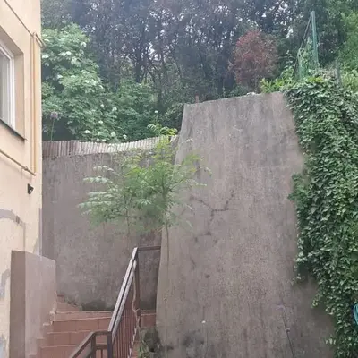 Boema