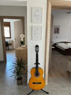 a guitar is on display in a room at Apartman Lucija in Rumboci