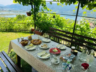 a table with food and a view of a vineyard at Apartman Lucija in Rumboci
