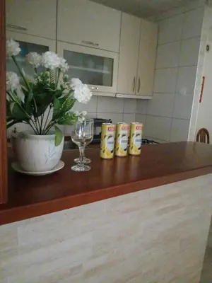 a kitchen counter with a table with a vase of flowers at Apartman Borik Banja Luka in Banja Luka
