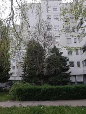 a white building with trees in front of it at Apartman Borik Banja Luka in Banja Luka