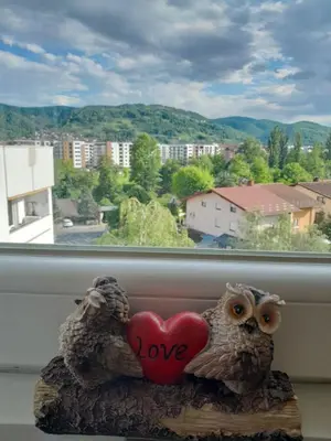 two owls holding a heart in front of a window at Apartman Borik Banja Luka in Banja Luka