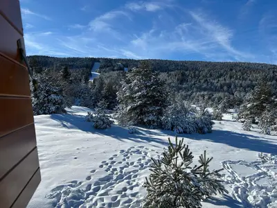 a view of a snow covered field with trees at Vikendica Mati in Kupres