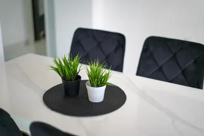 two potted plants sitting on a table with chairs at Apartman Amna in Jajce