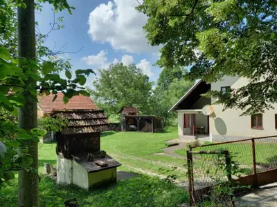 a garden with a barbecue in front of a house at Kuća Knežević in Mlječanica