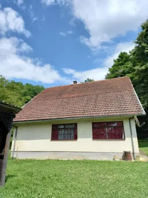 a house with a brown roof on top of a yard at Kuća Knežević in Mlječanica