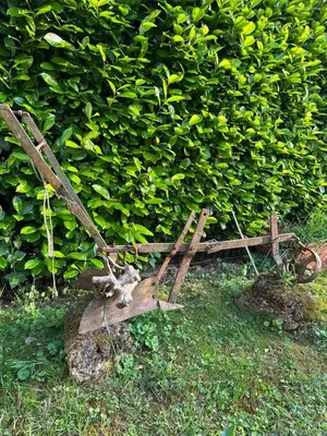 an old wooden cart in front of a bush at Apartman Green River Banja Luka in Bijeli Potok