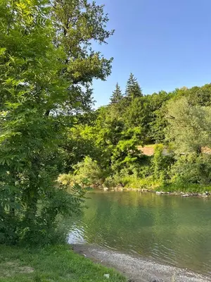 a body of water with trees and a river at Apartman Green River Banja Luka in Bijeli Potok