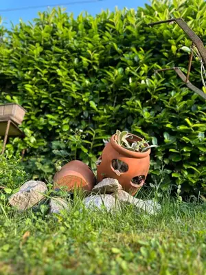 a flower pot sitting on the ground in the grass at Apartman Green River Banja Luka in Bijeli Potok