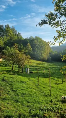 a field with green grass and trees and a fence at Bad and Breakfast Majestik in Gornji Ribnik