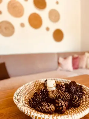 a bowl of pine cones on a table at Foresta Home in Gradačac