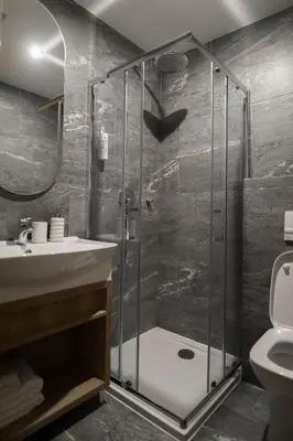 a bathroom with a shower with a sink and a toilet at Stari Hrast Apartmani in Bosanska Gradiška