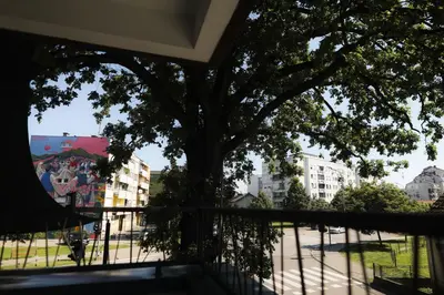 a tree in the middle of a street with buildings at Stari Hrast Apartmani in Bosanska Gradiška