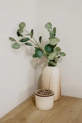 a vase with a plant in it on a table at Stari Hrast Apartmani in Bosanska Gradiška