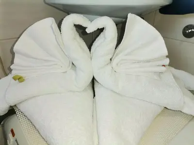 two towels are folded into swans at Brvnara N&N in Laktaši