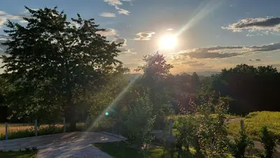 a sun is setting over a field with trees at Brvnara N&N in Laktaši
