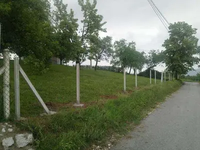 a row of trees on the side of a road at Vikendica Mihajlovic TUL in Čifluk