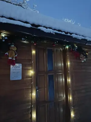 a house with christmas lights and snow on the roof at Smjestaj na selu KLARA in Staro Selo
