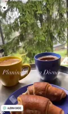a plate of food with a cup of coffee and a croissant at Planinska kuća Divna in Šišava