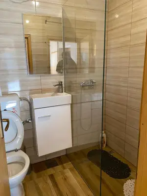 a bathroom with a shower and a toilet and a sink at Planinska kuća Divna in Šišava