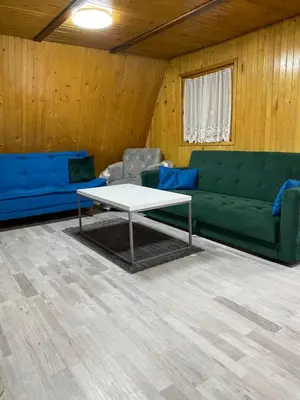 a living room with a green couch and a table at Planinska kuća Divna in Šišava