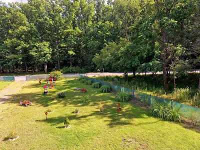 a group of children playing in a grass field at Villa Forest in Bosanska Gradiška