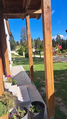 a wooden pergola with potted plants on a patio at Planinska kuća Bajni