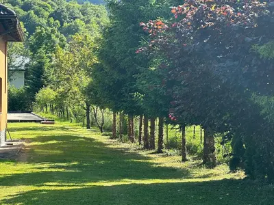 a row of trees in a yard with grass at Cottage on Una in Bihać
