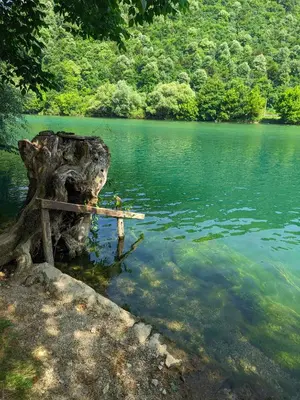 a tree stump sitting in the middle of a lake at Vikendica Stella in Bihać