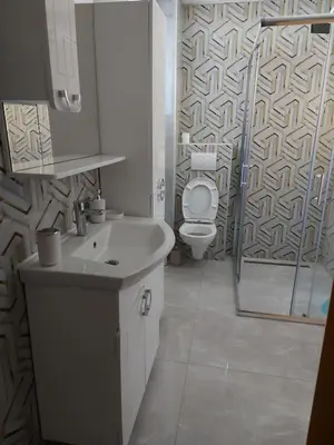 a bathroom with a sink and a toilet and a shower at Apartman Aldina in Bihać
