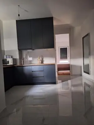a kitchen with black cabinets and a counter top at SD apartman - Trn in Ivišovo Greblje