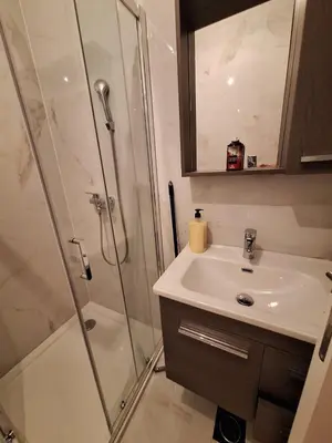 a bathroom with a sink and a shower at SD apartman - Trn in Ivišovo Greblje