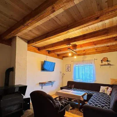 a living room with a couch and a fireplace at Woodenhouse Ede Vlasic in Kutlovac