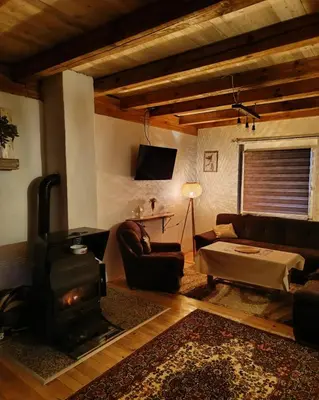a living room with a couch and a wood stove at Woodenhouse Ede Vlasic in Kutlovac
