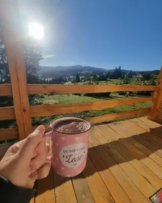 a person holding a cup of coffee on a deck at Woodenhouse Ede Vlasic in Kutlovac