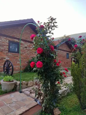 a bush of red roses in a garden at Bungalovi Narandža Ramsko jezero